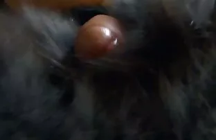 XXX Little Cock penghinaan, kecurangan. vitamin untuk penambah nafsu makan dewasa