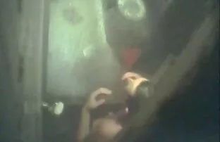 XXX Pelayan anjing dengan dua pinset di mulutnya vitamin penafsu makan untuk dewasa